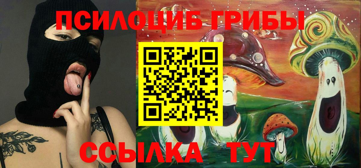 Псилоцибиновые грибы Psilocybe  Вход с VPN  Ханты-Мансийск  где купить наркоту  Псилоцибиновые грибы MAGIC MUSHROOMS 